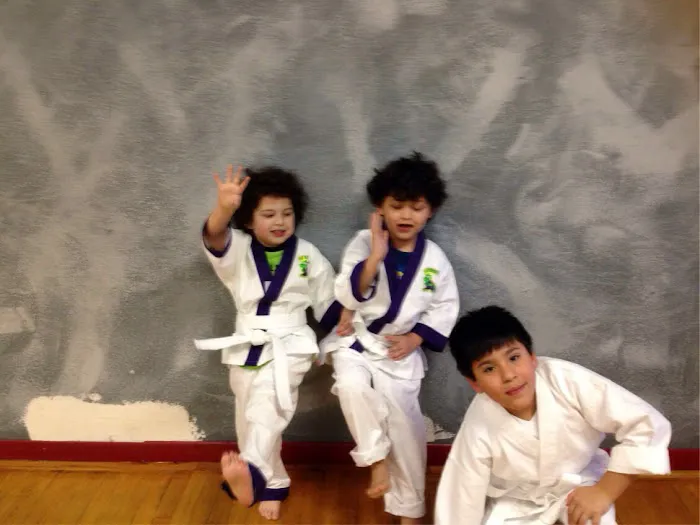 Martial Arts Experience Picture 7