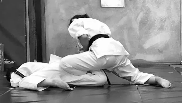 Martial Arts Experience Picture 10