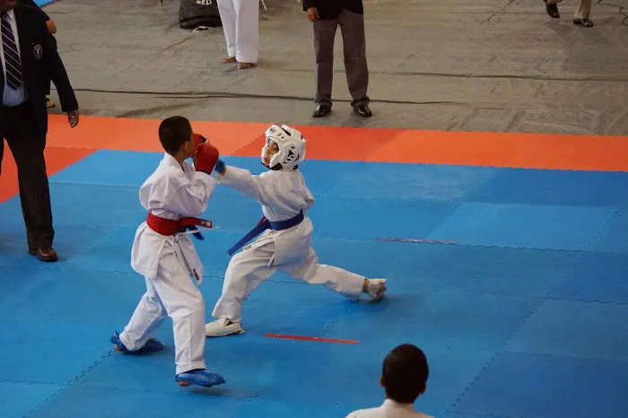 Busho Kai Martial Arts & Fitness Picture 3