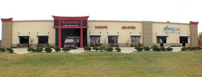 Busho Kai Martial Arts & Fitness Picture 4