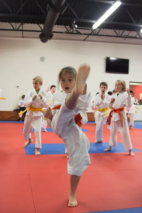 Busho Kai Martial Arts & Fitness Picture 5