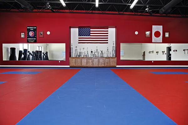 Busho Kai Martial Arts & Fitness Picture 8