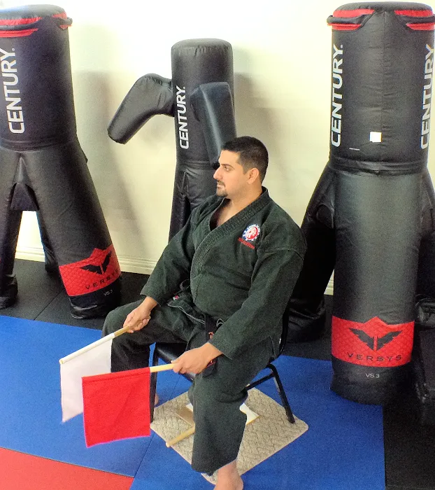 Busho Kai Martial Arts & Fitness Picture 9