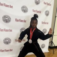 Fast Fist Martial Arts ico