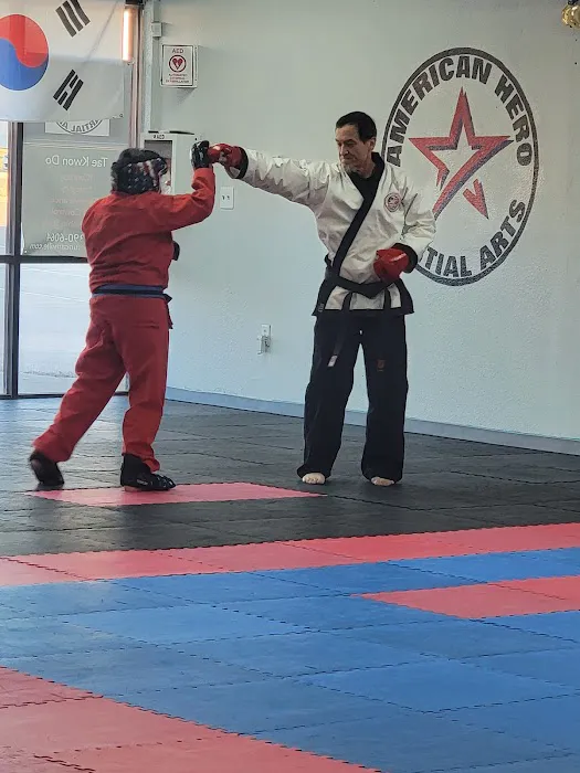 American Hero Martial Arts Picture 4