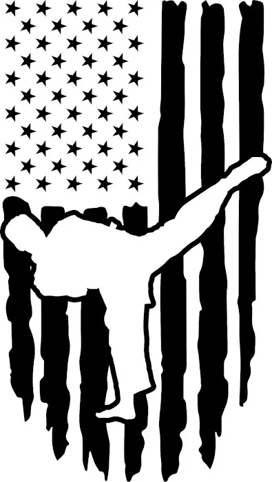 American Hero Martial Arts Picture 3