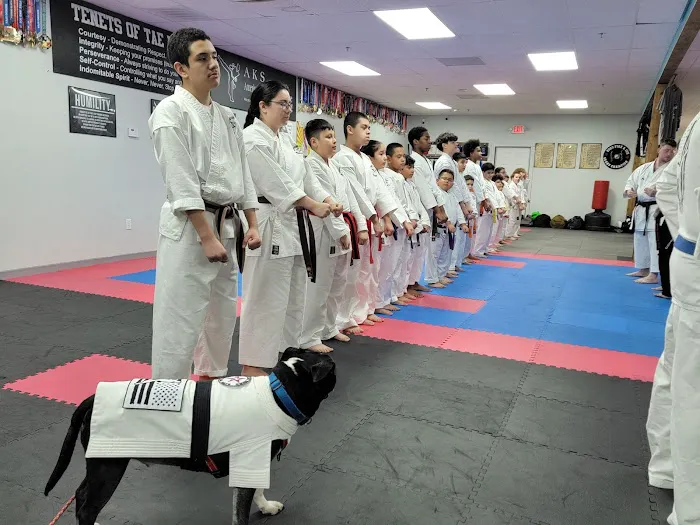 American Hero Martial Arts Picture 5