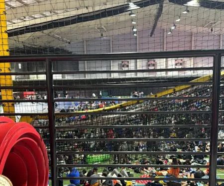 Impact Taekwondo Academy