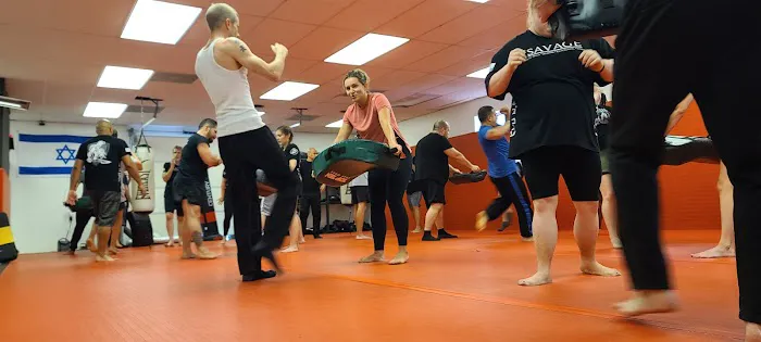 Savage Krav Maga - Arlington Picture 2