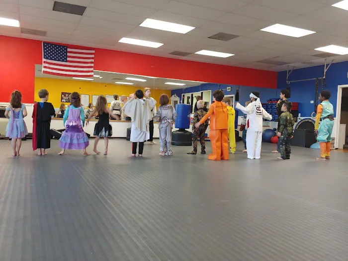 Sentinel Martial Arts Picture 4