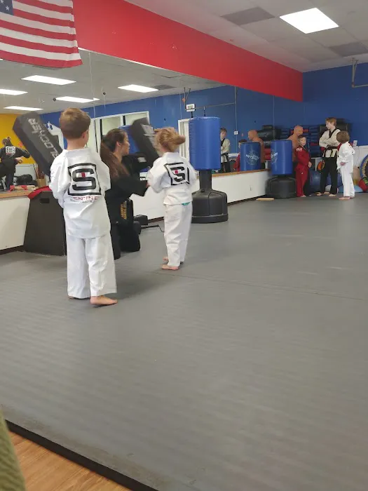 Sentinel Martial Arts Picture 1