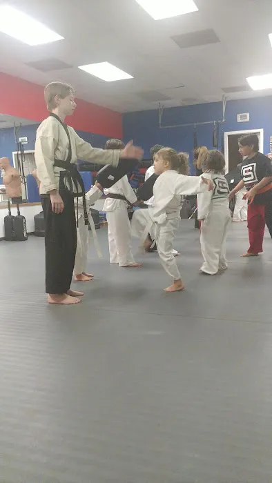 Sentinel Martial Arts Picture 5