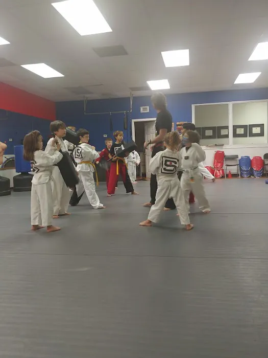 Sentinel Martial Arts Picture 2