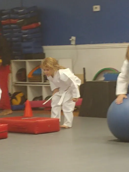 Sentinel Martial Arts Picture 3