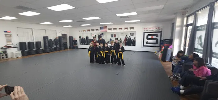 Sentinel Martial Arts Picture 7