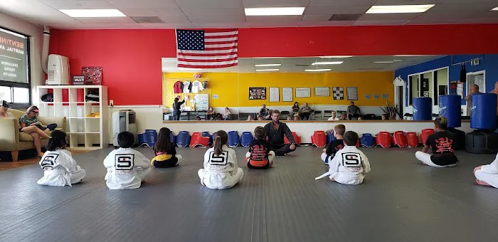 Sentinel Martial Arts Picture 10