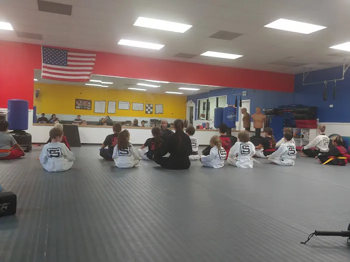 Sentinel Martial Arts Picture 6