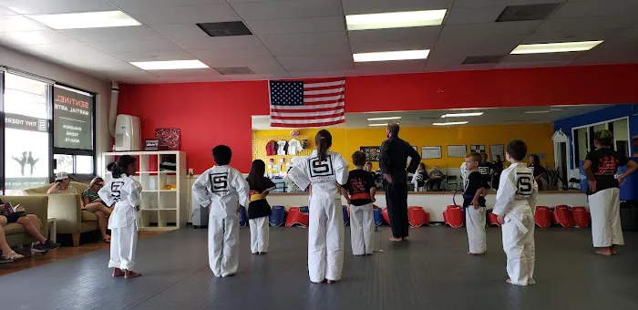 Sentinel Martial Arts Picture 9