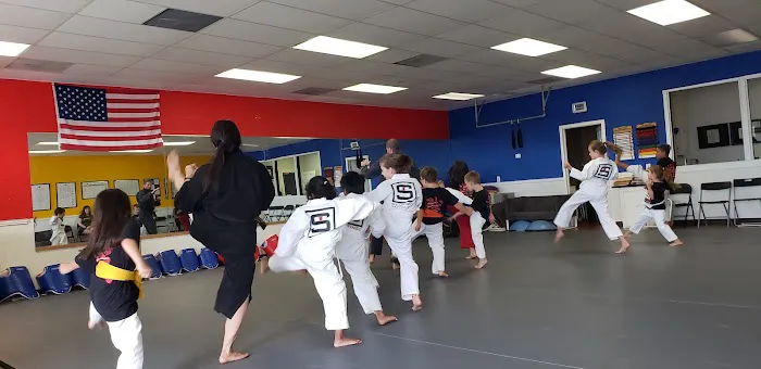 Sentinel Martial Arts Picture 8