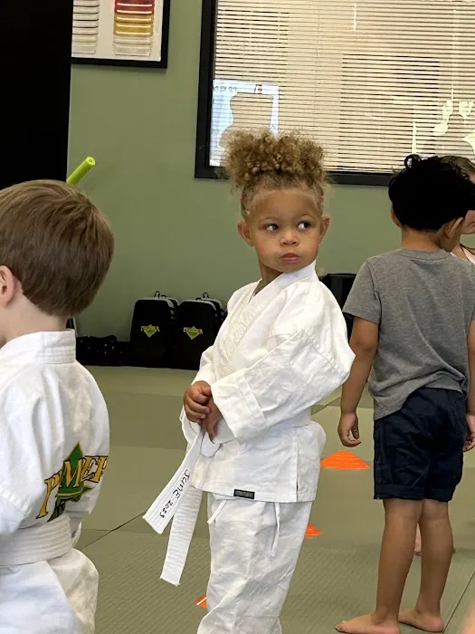 Premier Martial Arts West Arlington Picture 2