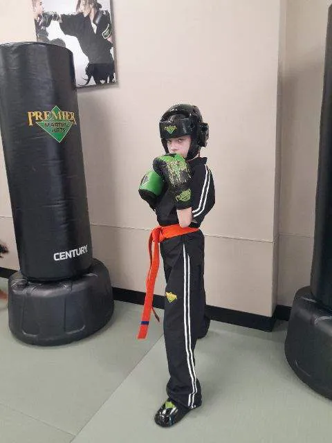 Premier Martial Arts West Arlington Picture 3