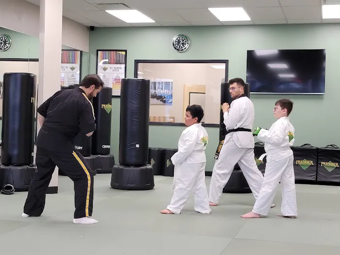 Premier Martial Arts West Arlington Picture 1