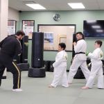 Premier Martial Arts West Arlington