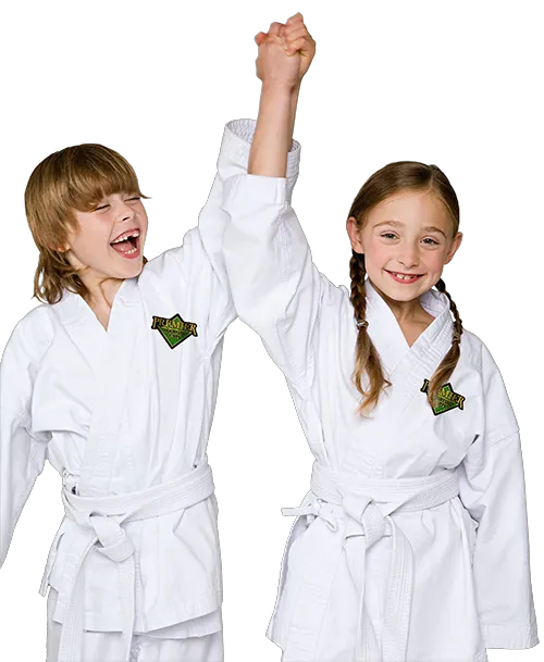 Premier Martial Arts West Arlington Picture 7