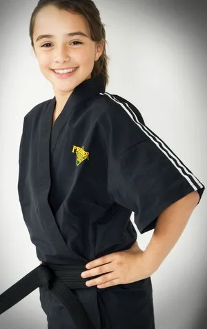 Premier Martial Arts West Arlington Picture 9