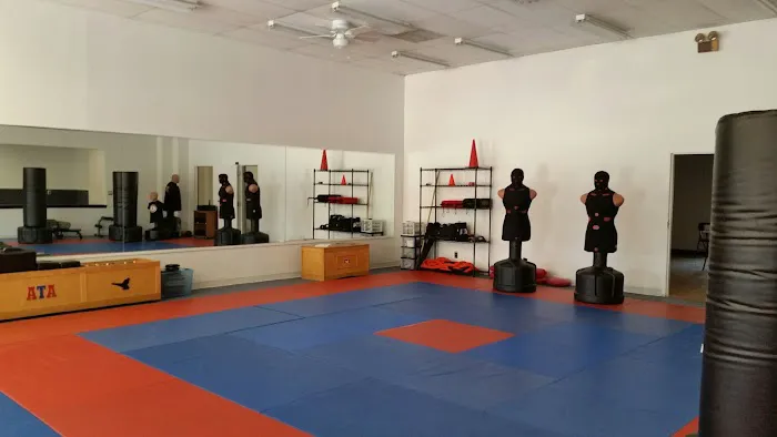 ATA Martial Arts Arlington Picture 6