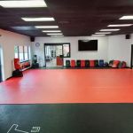 V-FIT HOUSE of CHAMPIONS