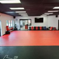 V-FIT HOUSE of CHAMPIONS ico