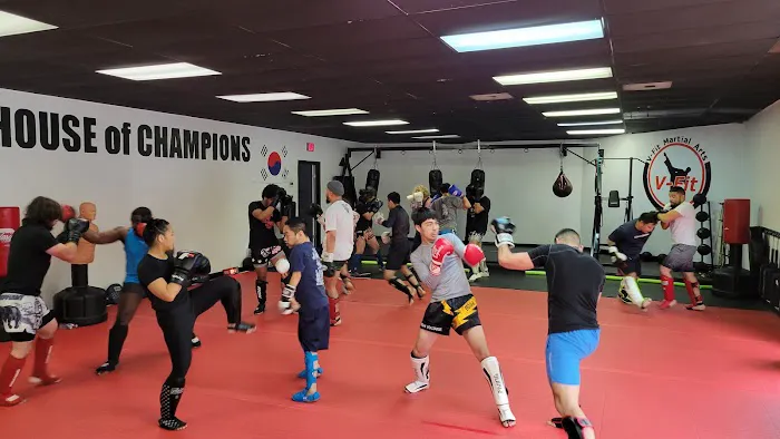 V-FIT HOUSE of CHAMPIONS Picture 9