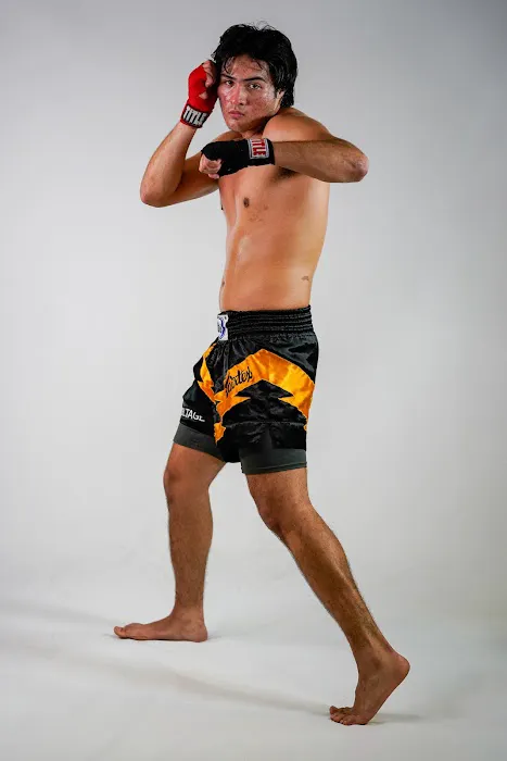 V-FIT HOUSE of CHAMPIONS Picture 7