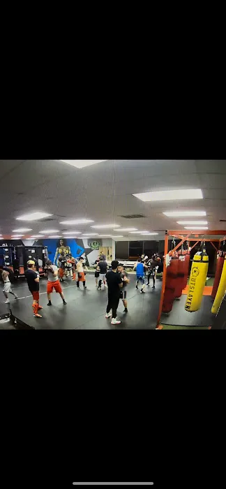 Arlington Martial Arts - Youth Boxing & MMA Fitness for Kids Picture 5
