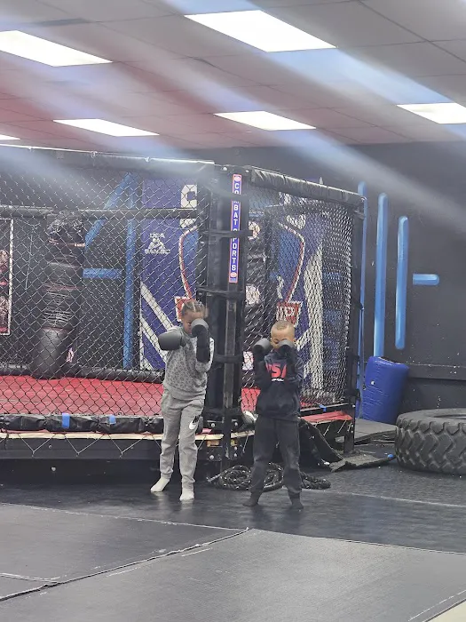 Arlington Martial Arts - Youth Boxing & MMA Fitness for Kids Picture 2