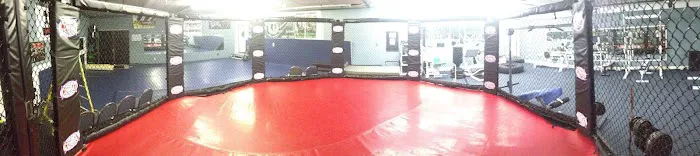 Arlington Martial Arts - Youth Boxing & MMA Fitness for Kids Picture 3