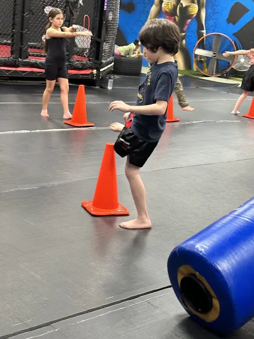 Arlington Martial Arts - Youth Boxing & MMA Fitness for Kids Picture 6