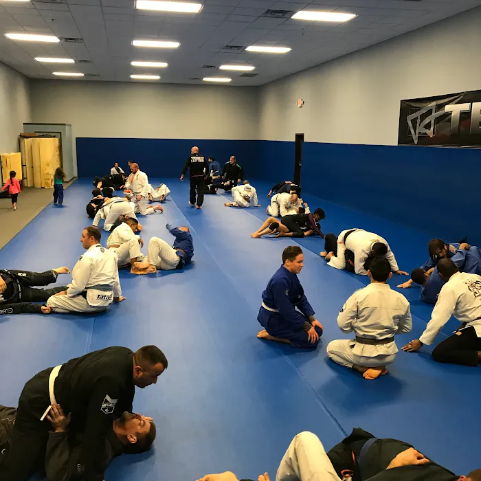Travis Lutter Brazilian Jiu-Jitsu Picture 10