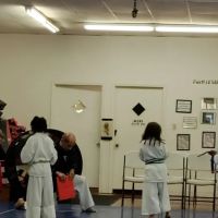 American Academy of Martial Arts ico