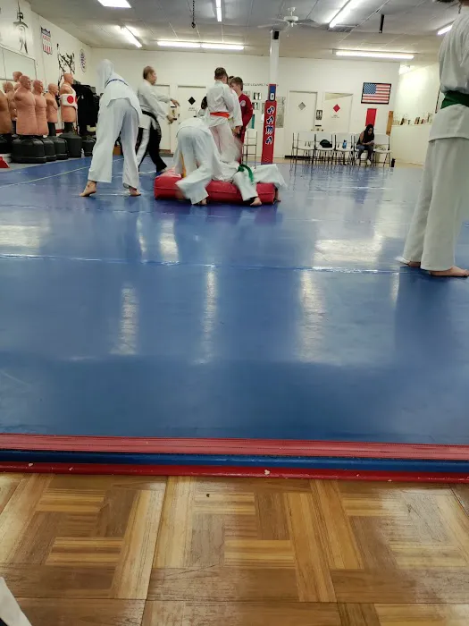 American Academy of Martial Arts Picture 4