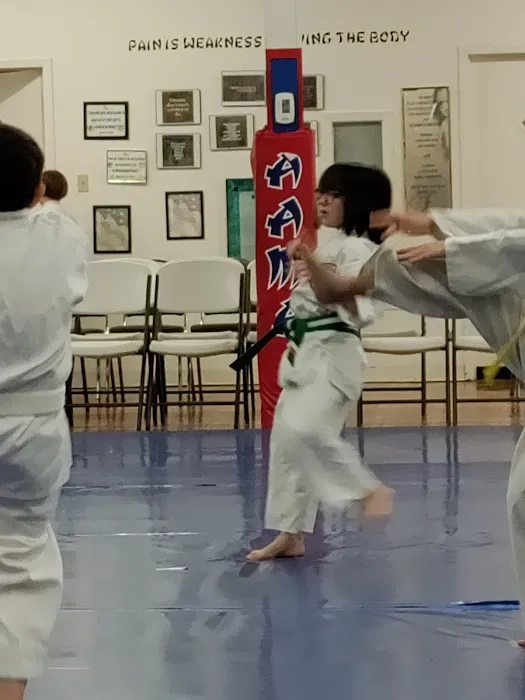 American Academy of Martial Arts Picture 2