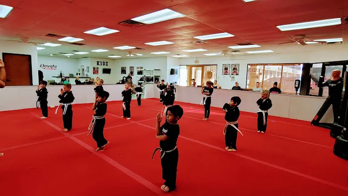 Elevate Martial Arts Picture 1