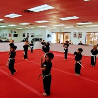 Elevate Martial Arts ico