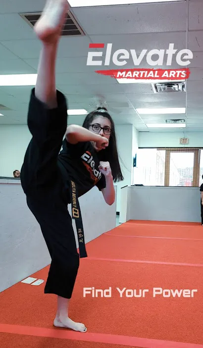Elevate Martial Arts Picture 8