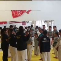 Texas Forge Taekwondo ico