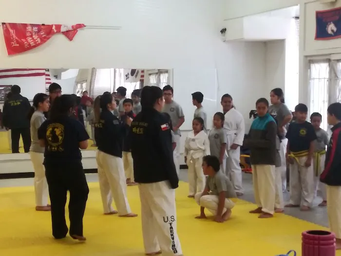 Texas Forge Taekwondo Picture 2