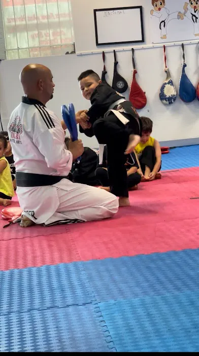 Tiger One Martial Arts Picture 3