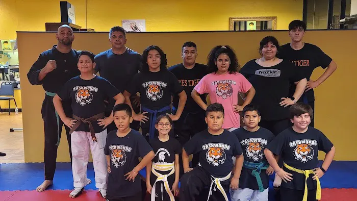 Tiger One Martial Arts Picture 8