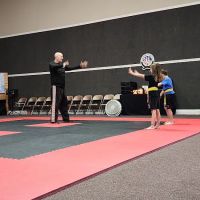 Texas Karate Institute Select ico